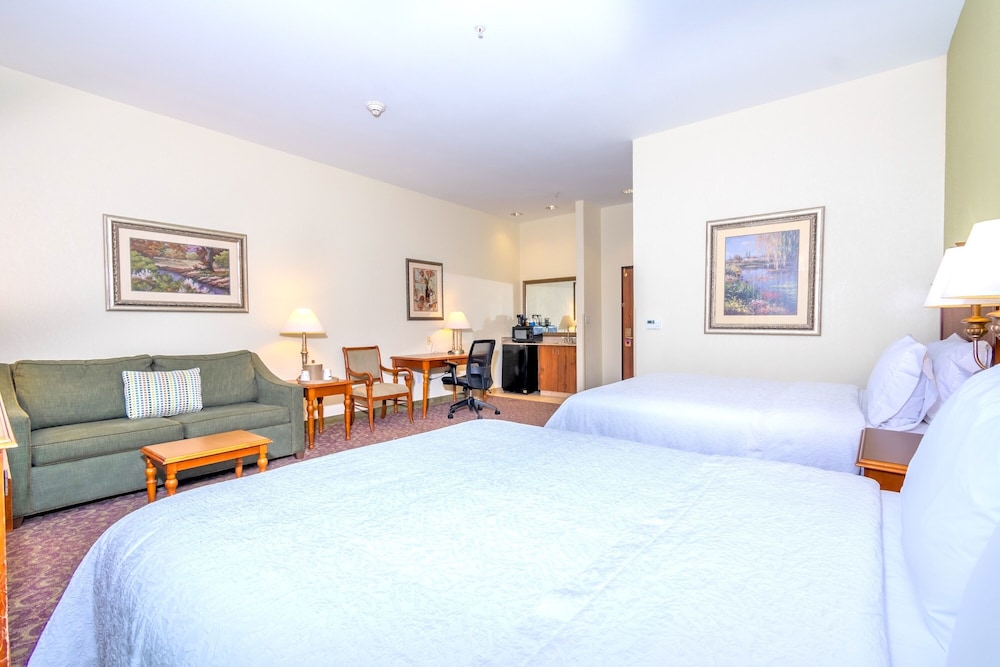 Hampton Inn and Suites College Station - photo 17