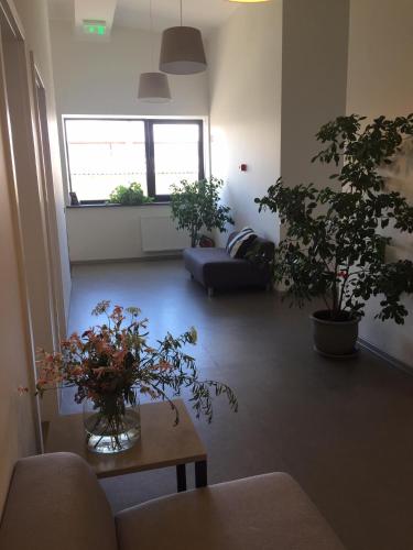 Jundula in Sakiai, Lithuania