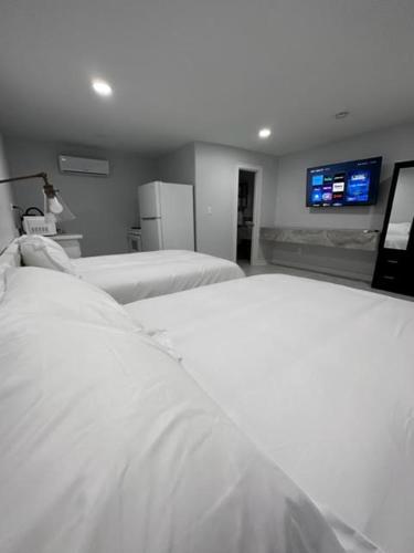White Sands - photo 10