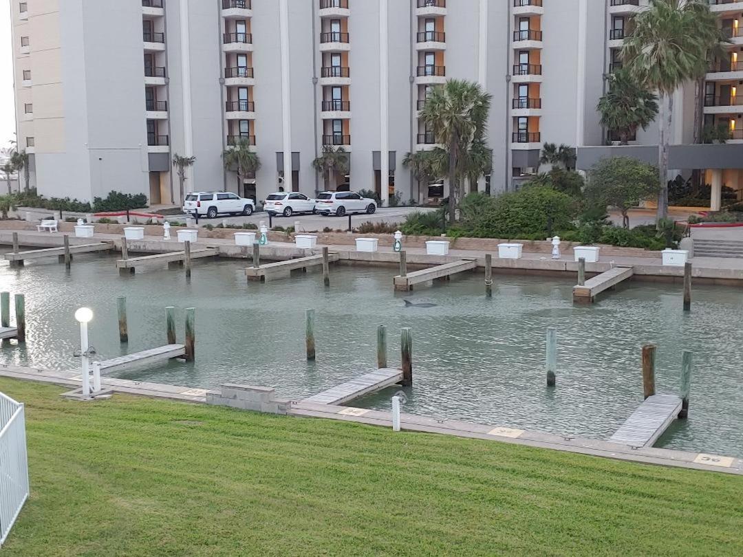 Bay Tree A5 - last minute hotel in Port Aransas