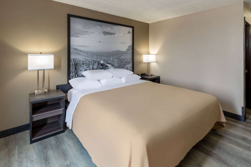 Super 8 by Wyndham Laredo - photo 17