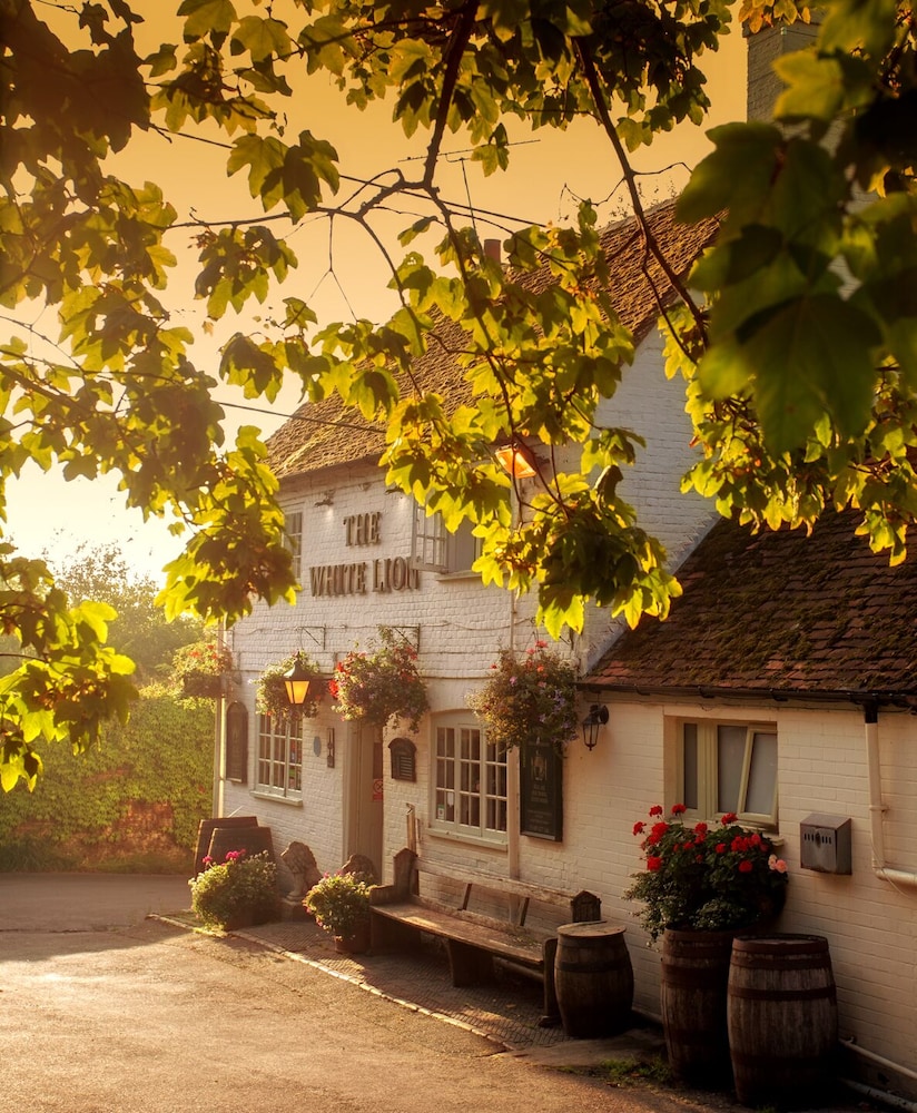 The White Lion — hotel in Southampton