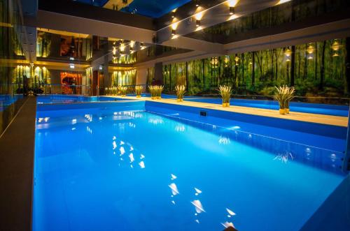 Srebrny Bucznik Wellness & Restaurant in Istebna, Poland