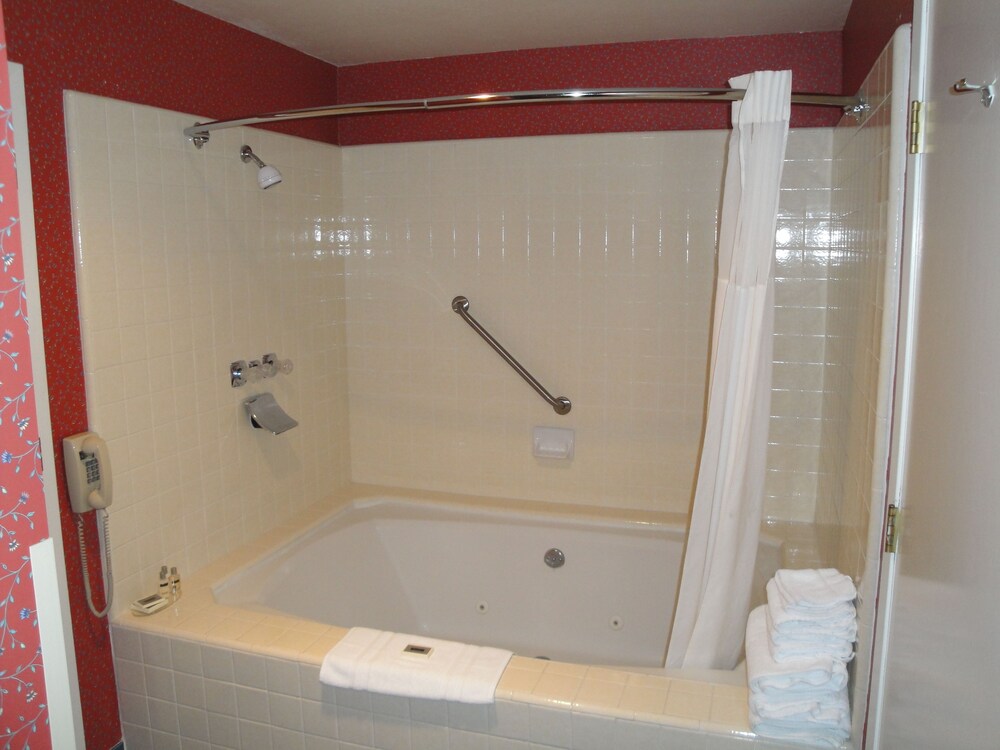 Clarion Inn Silicon Valley - photo 33