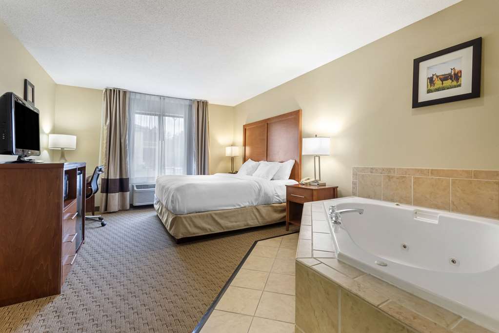 Comfort Inn & Suites Black River Falls I 94 - photo 10