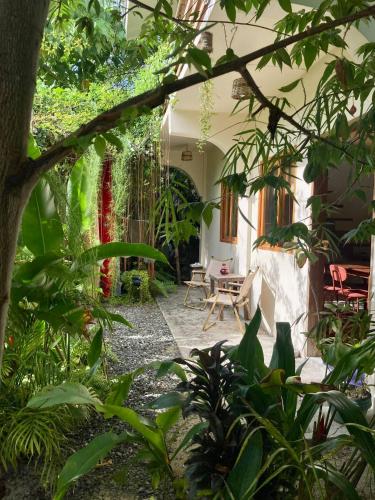 Surfer’s Hideout in General Luna, Philippines