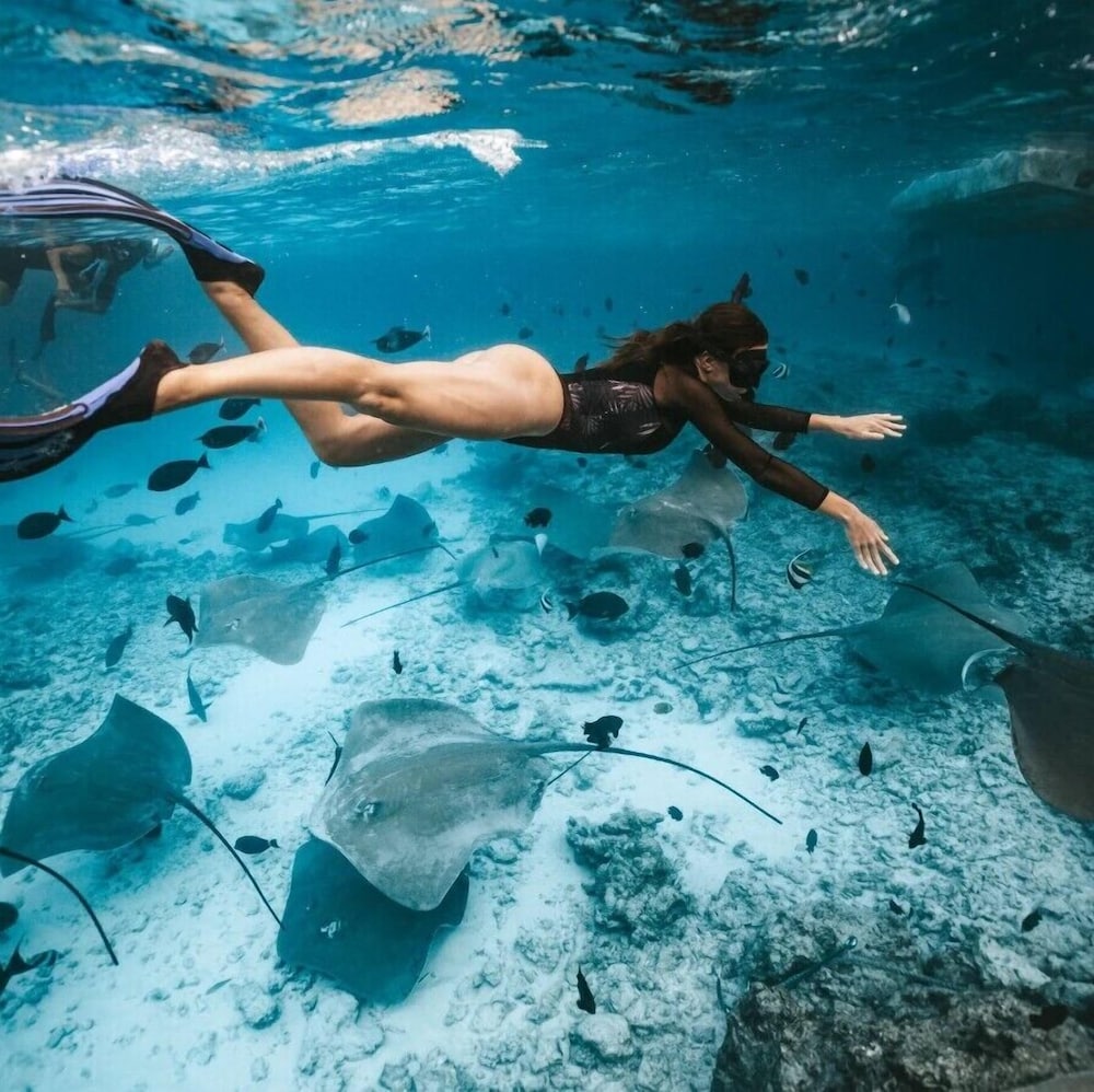 Bibee Surf in Unknown City, Maldives