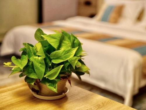 VX Changzhou Jintan District Red Star Macalline Hotel — hotel in Changzhou
