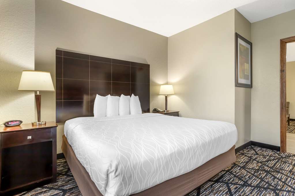 Best Western Plus Hobby Airport Inn & Suites - photo 22