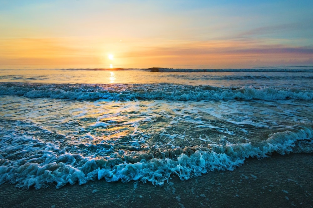 Guy Harvey Resort on St Augustine Beach - photo 86
