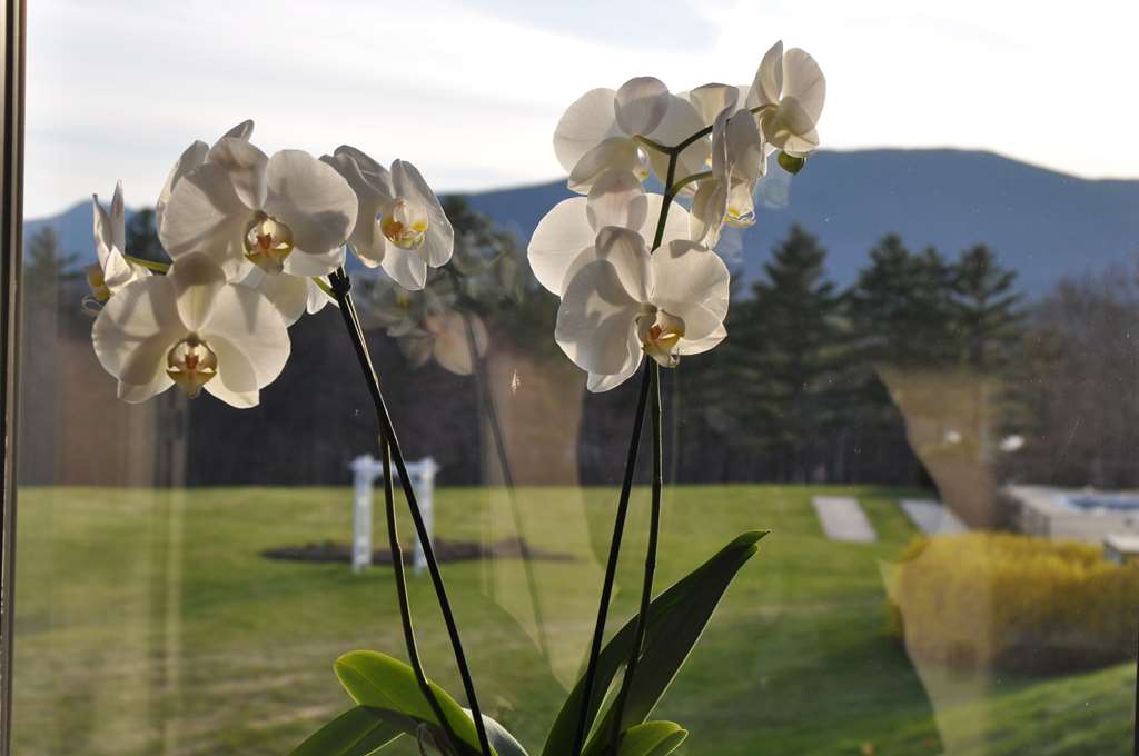 Fox Ridge Resort - photo 20
