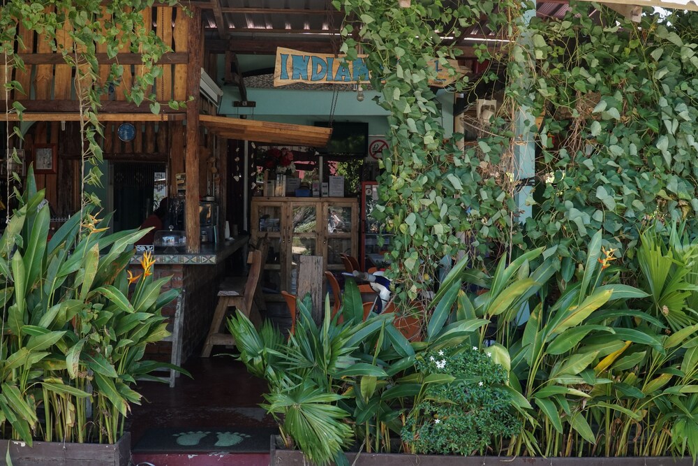 Indiana Cafe and Beds in Pantai Cenang, Malaysia