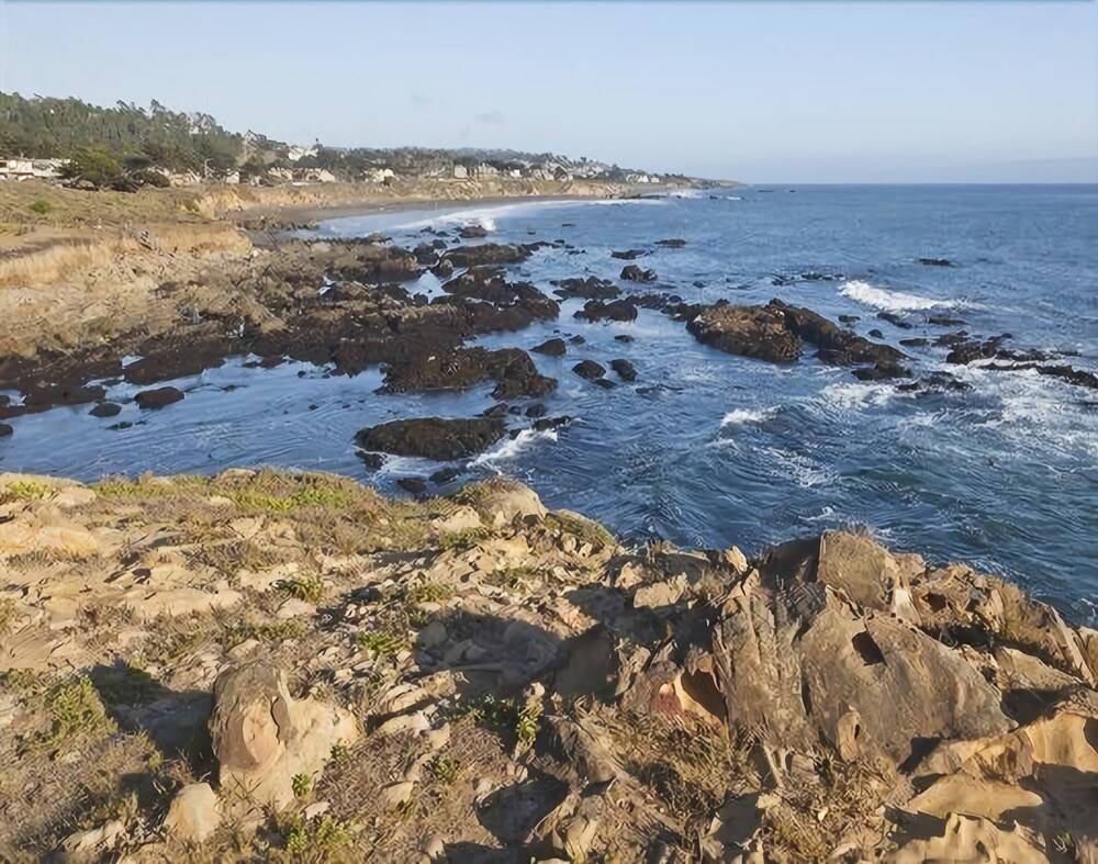 Cambria Landing Inn & Suites - photo 51