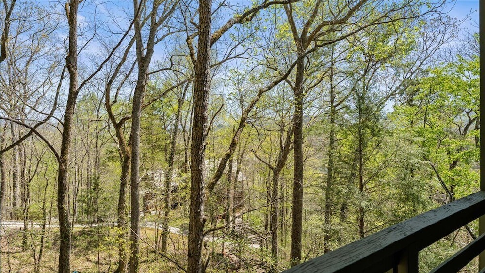 Laurel Valley Mountain Retreat - photo 27
