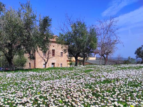 Le Mignole - carbon neutral hotel in Orsogna