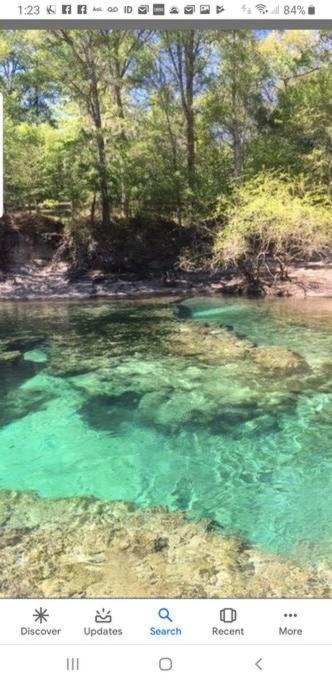 Margaritaville On The Suwannee River - photo 33