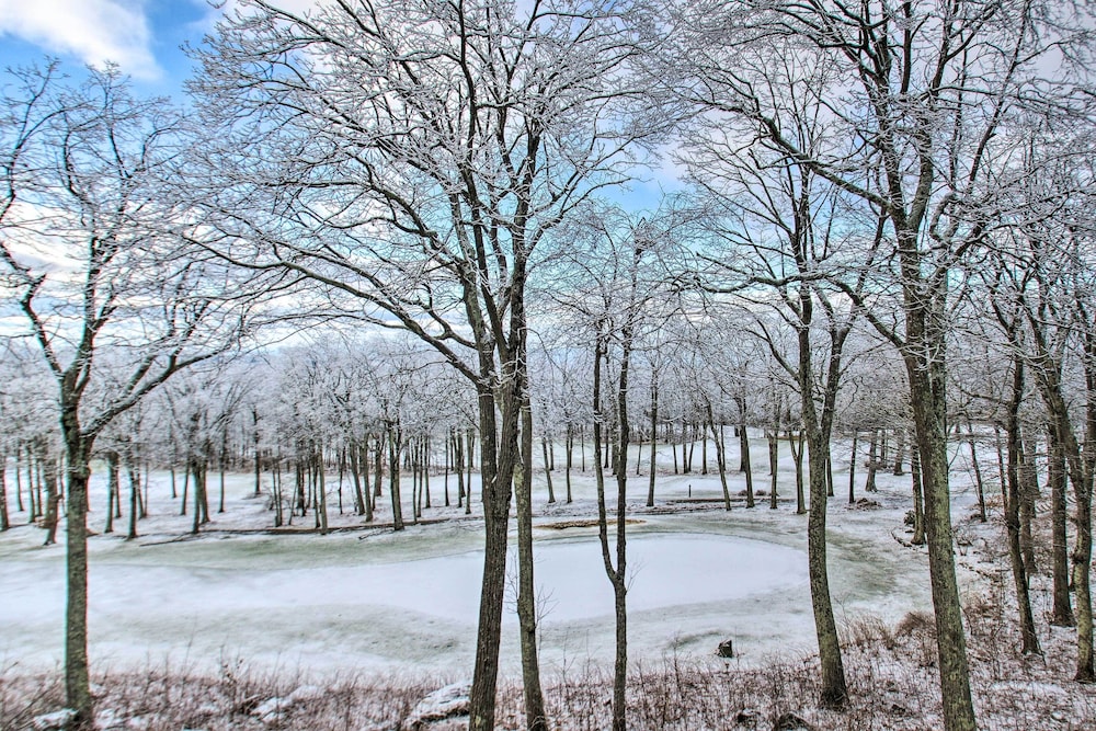 Wintergreen Resort Condo Walk to Ski Lift - photo 10