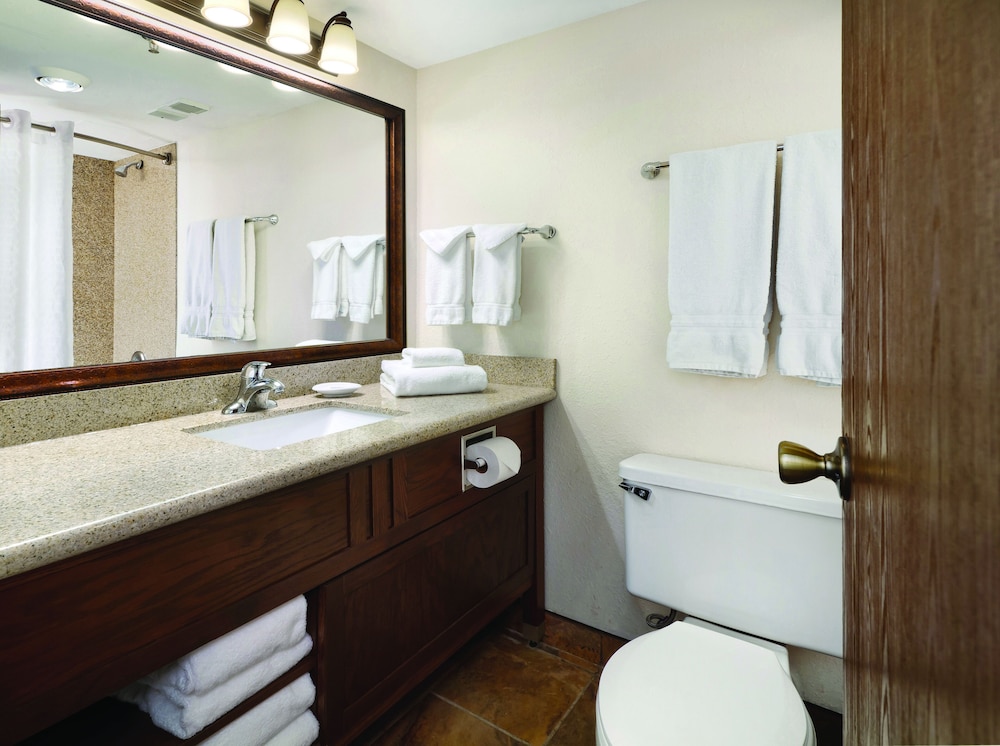 Ramkota Hotel & Conference Center - photo 16