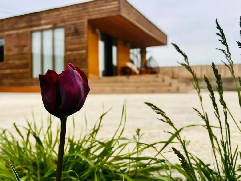 Eco house villa jeo