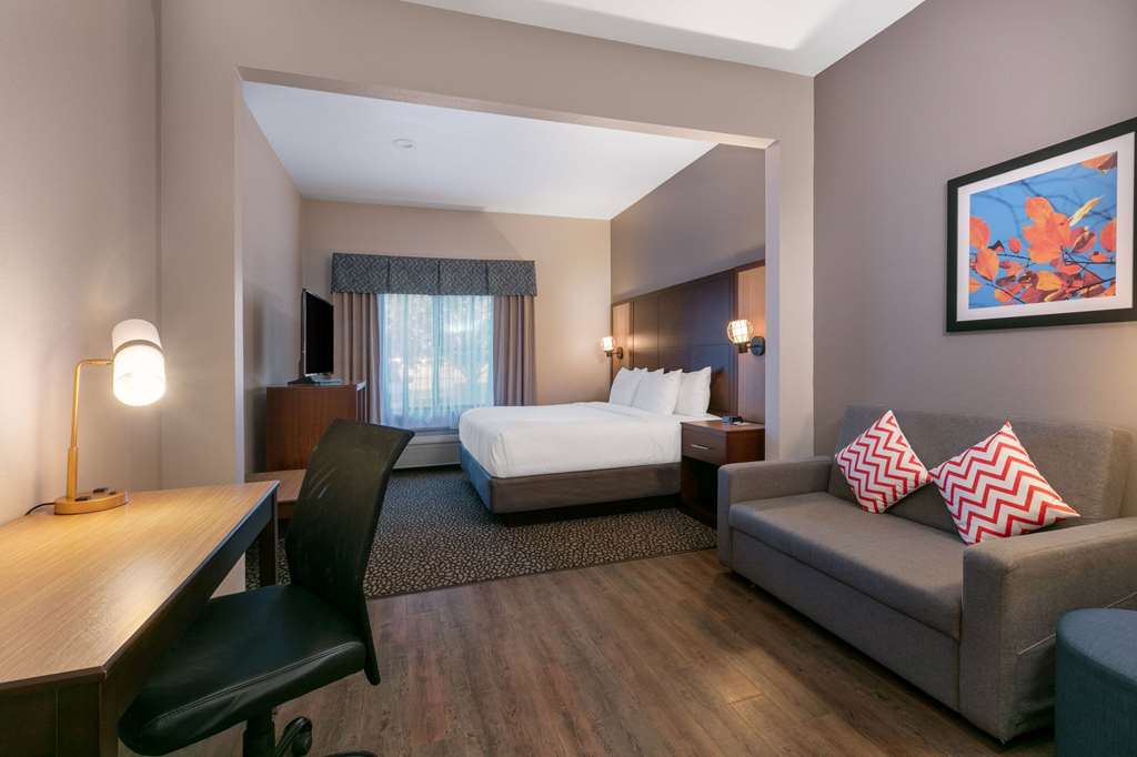 Wingate by Wyndham DFW North Irving - photo 30