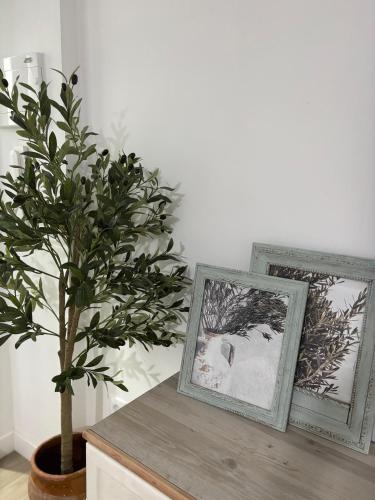 El Olivo Verde in Jaen, Spain