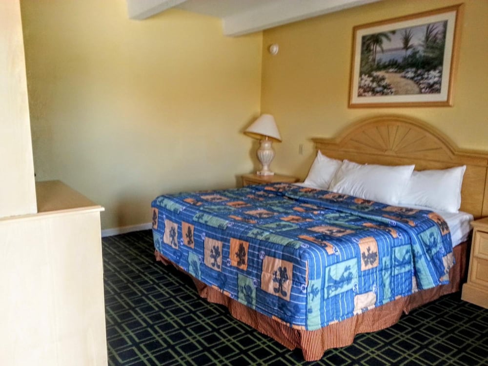 Budget Lodge of Mount Dora - photo 12