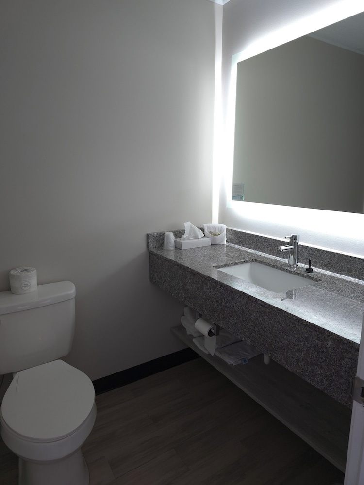 Days Inn & Suites by Wyndham Port Huron - photo 48