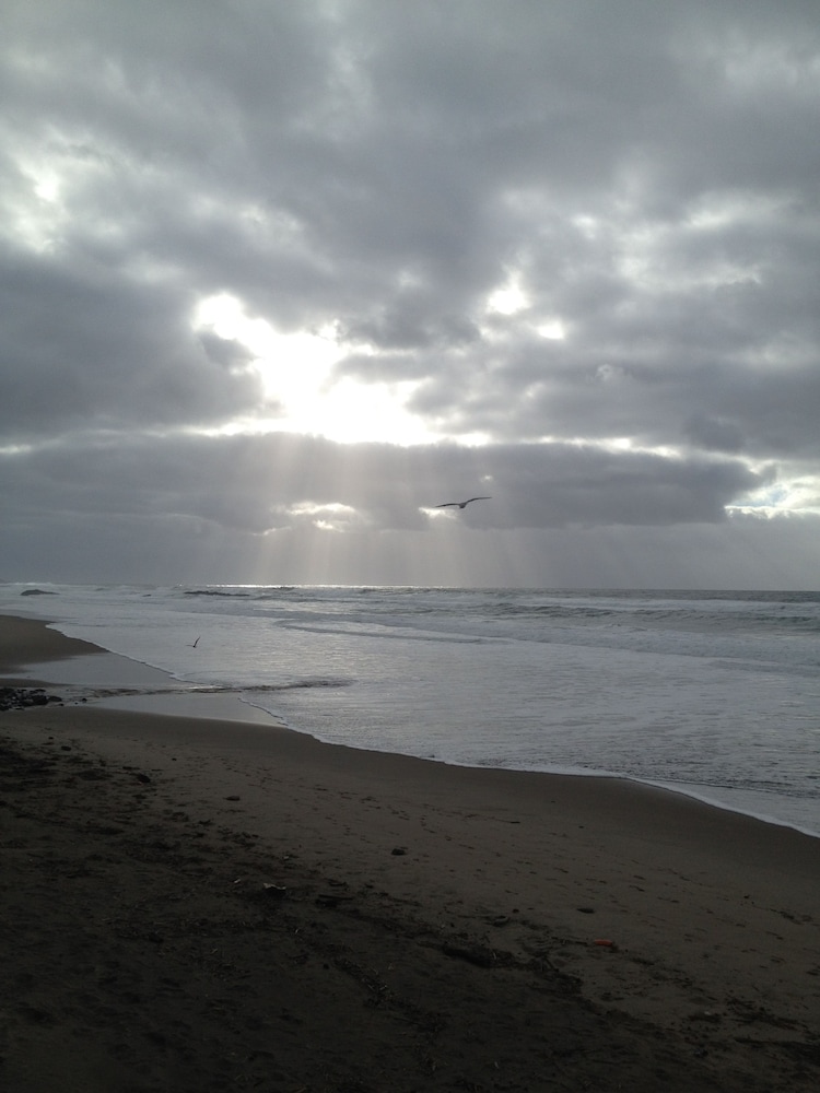 The Sandcastle Beachfront Hotel - photo 127