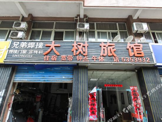 Big Tree Inn - carbon neutral hotel in Hefei