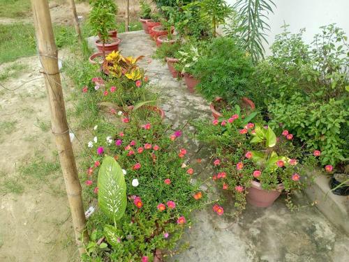 Atithi home stay and Cloud Kitchen — Ajodhya — photo 4
