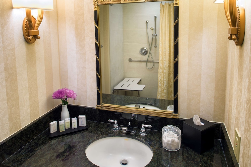 Embassy Suites by Hilton Portland Downtown - photo 34