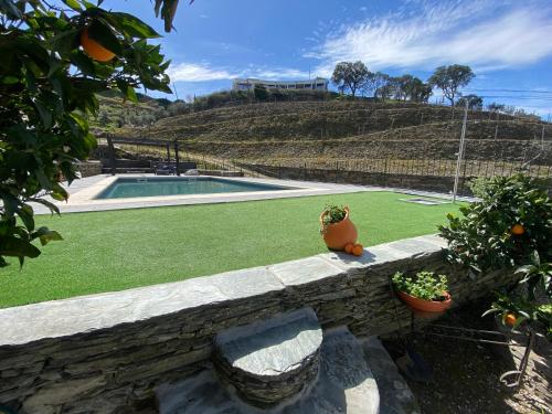Casa Cimeira — Tabuaco — photo 4