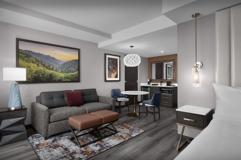 Embassy Suites by Hilton Pigeon Forge Resort - photo 14