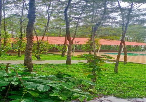 Water View Holiday Retreat — Belur — photo 3