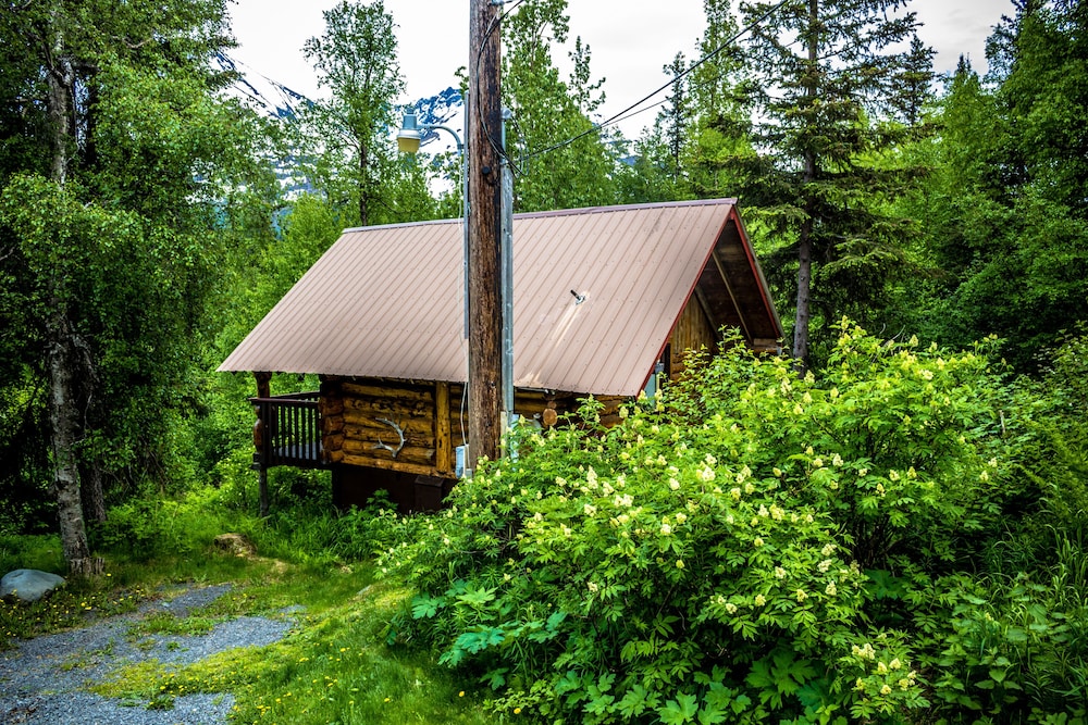 Midnight Sun Log Cabins - photo 15