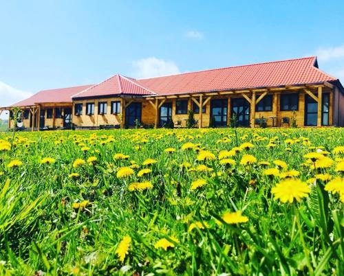 Aranyló Vendégház — hotel in Kazincbarcika
