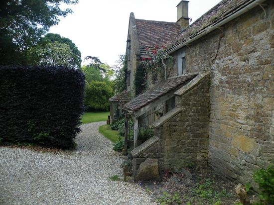 Fat Pigeon in Yeovil, United Kingdom