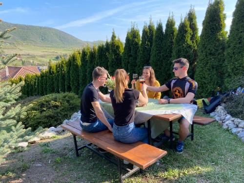 Pitypang Vendégház — Felsotarkany — photo 4
