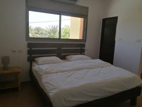 Mool Gilboa מול גלבוע — Bet She'an — photo 5