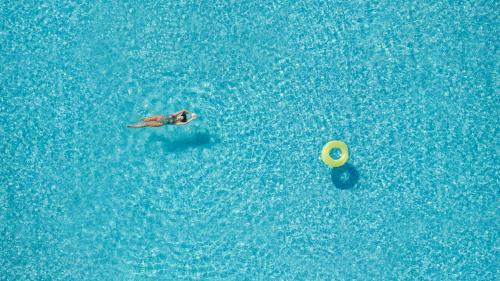 Little Bird Lesvos in Petra, Greece