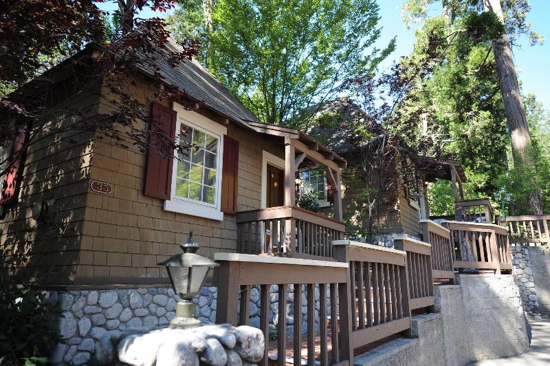 Saddleback Inn at Lake Arrowhead - photo 10