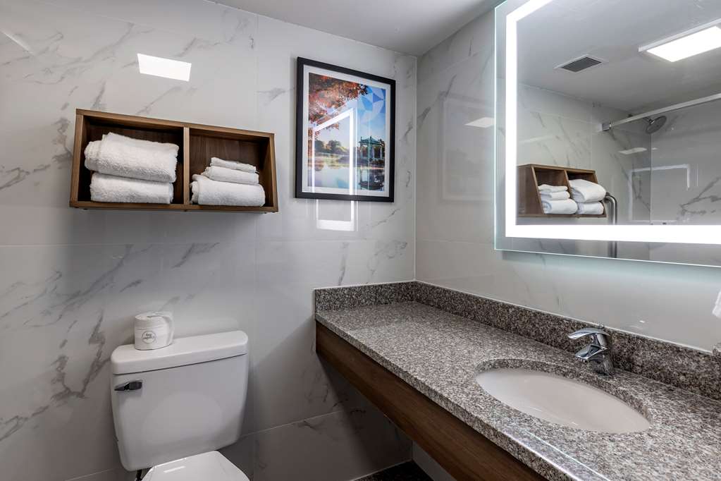 Best Western Plus St. Louis West Westport - photo 28