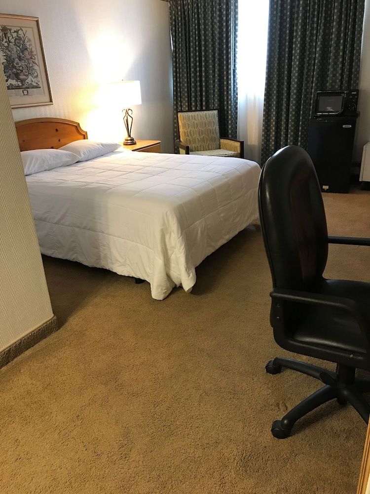 Clive Hotel & Suites - photo 13