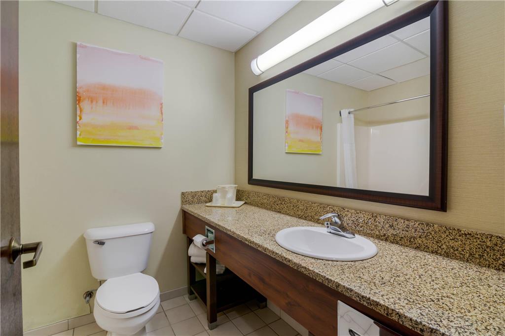 Comfort Inn Bismarck - photo 22