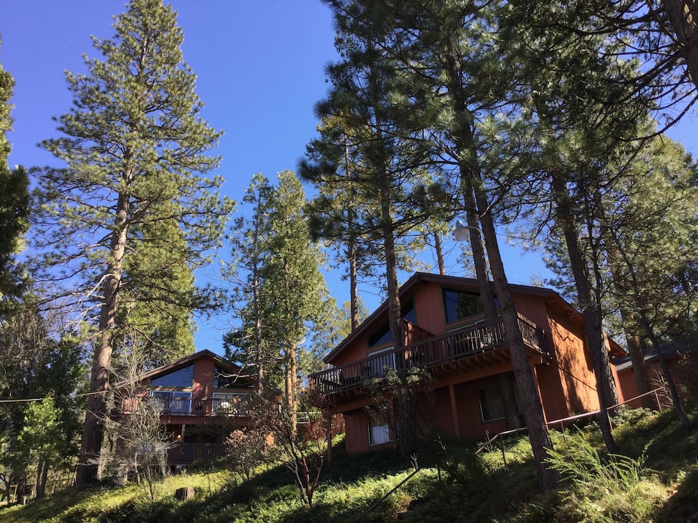 The Pines Resort - photo 105