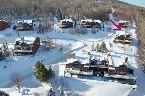 P5 Ski in Ski out rare find Presidential View single family with garage pool table ping pong - photo 49
