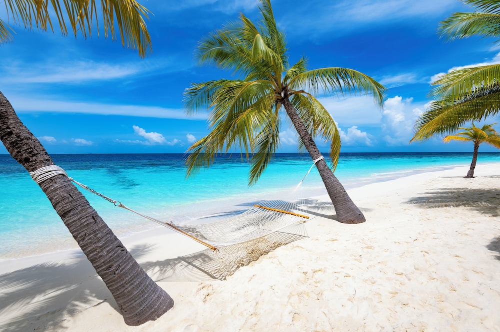 Land view from property