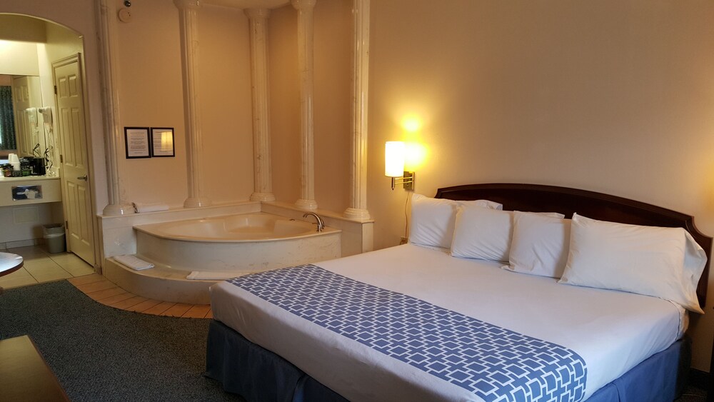 Flamingo Inn - photo 5