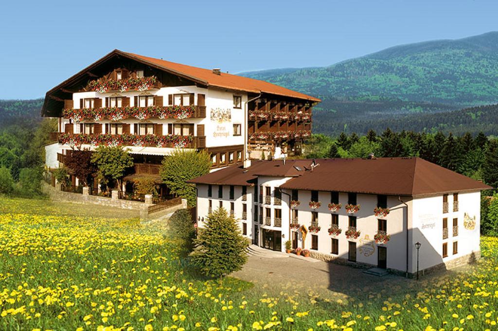 Hotel & Residence Hochriegel — 4-Star Luxury Hotel in Spiegelau, Germany