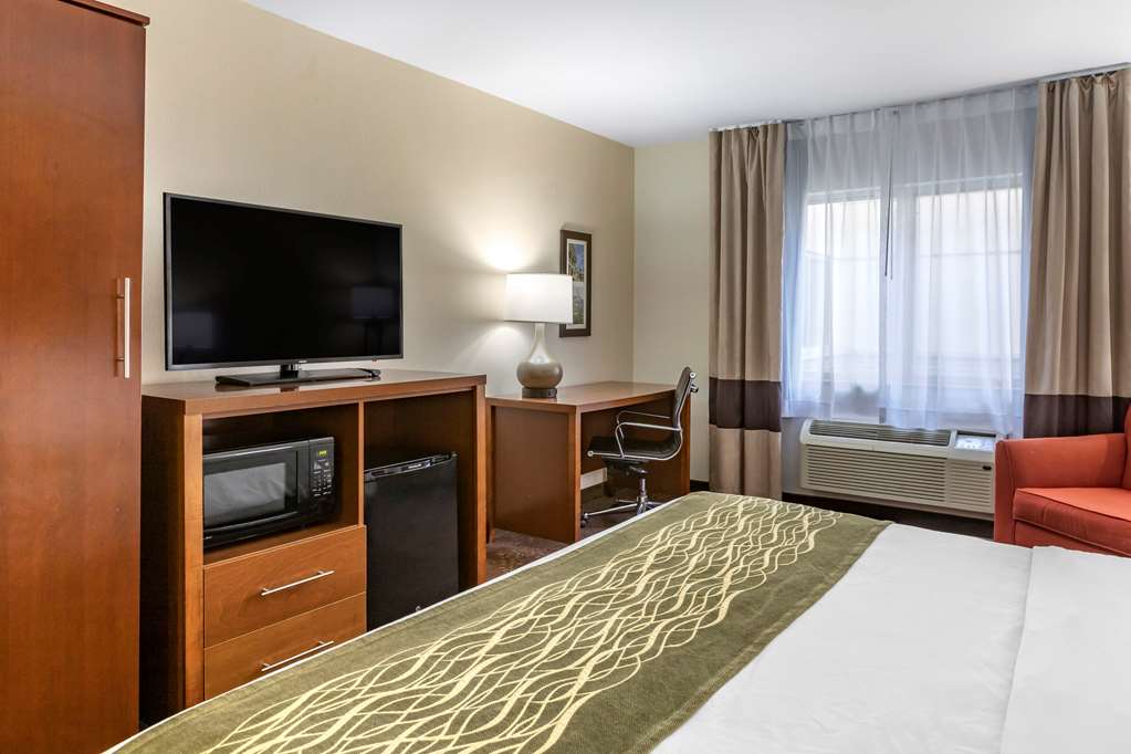 Comfort Inn Okemos East Lansing - photo 18